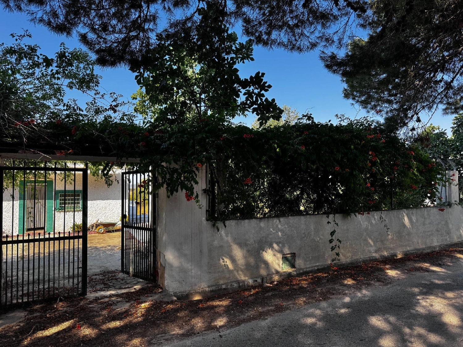  à vendre maison Jardin De Jaravilla Camp De Túria 4
