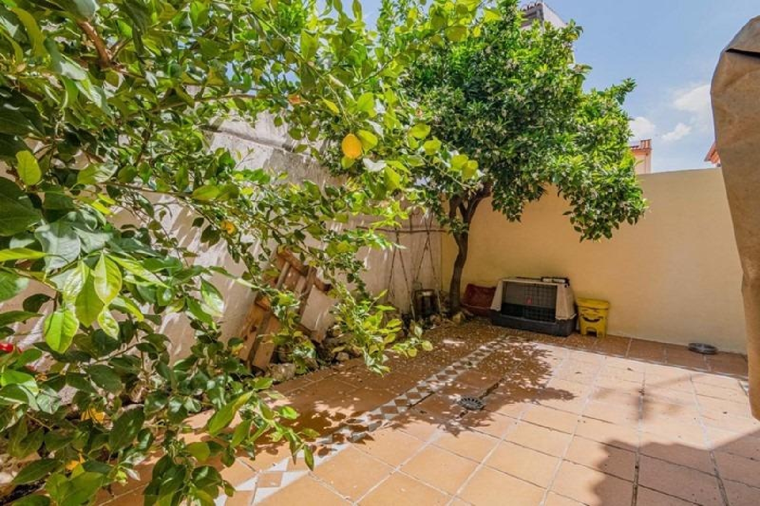 kaufen Haus La Mamola Costa Tropical 1