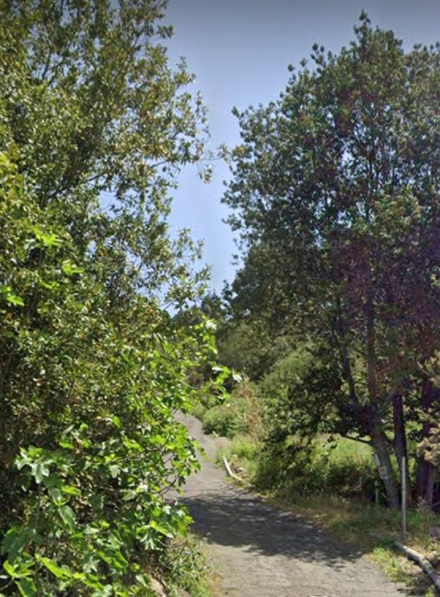  till salu hus La Parra Zona Norte 5