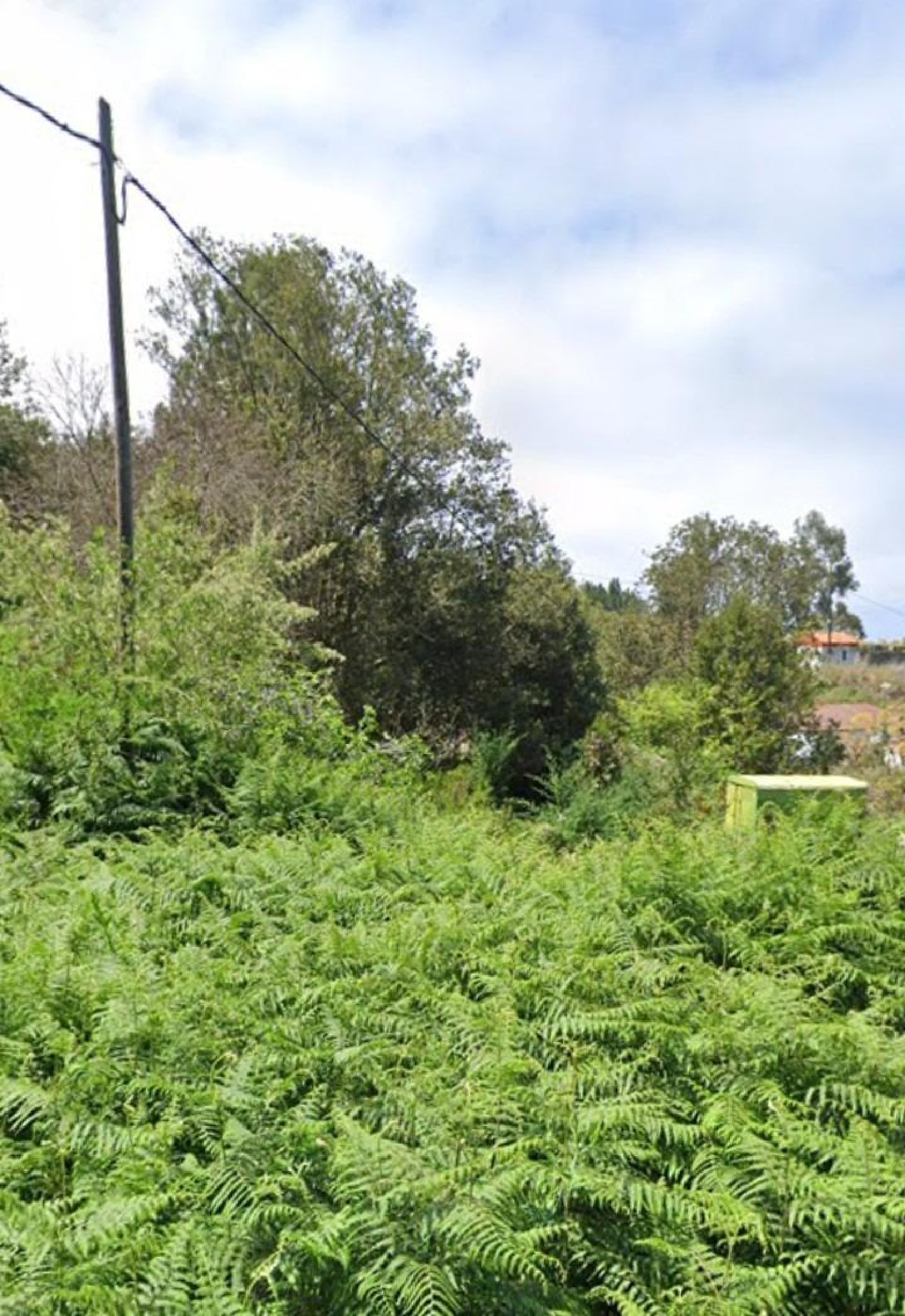 till salu hus La Parra Zona Norte 2