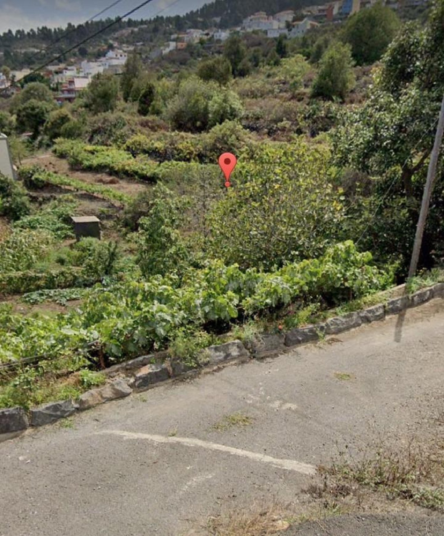  till salu hus La Patita Zona Norte 7