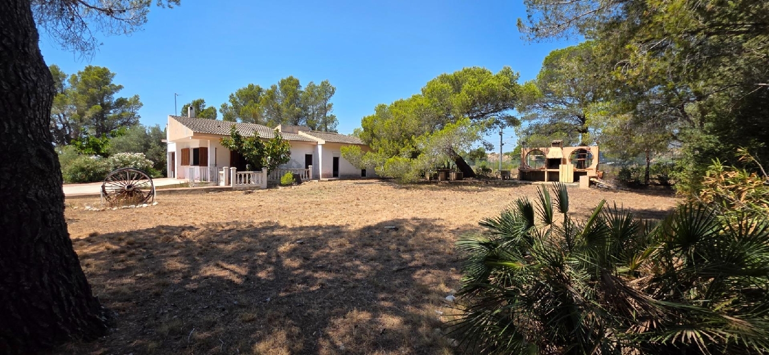  à vendre maison L'ametlla De Mar Baix Ebre 5