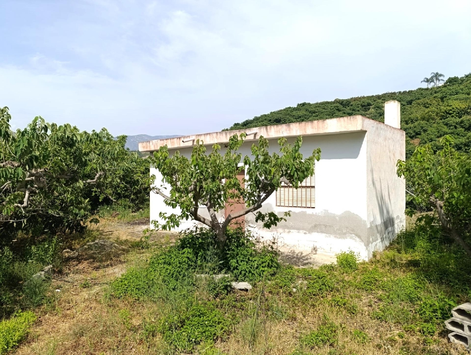  kaufen Haus Motril Costa Tropical 1