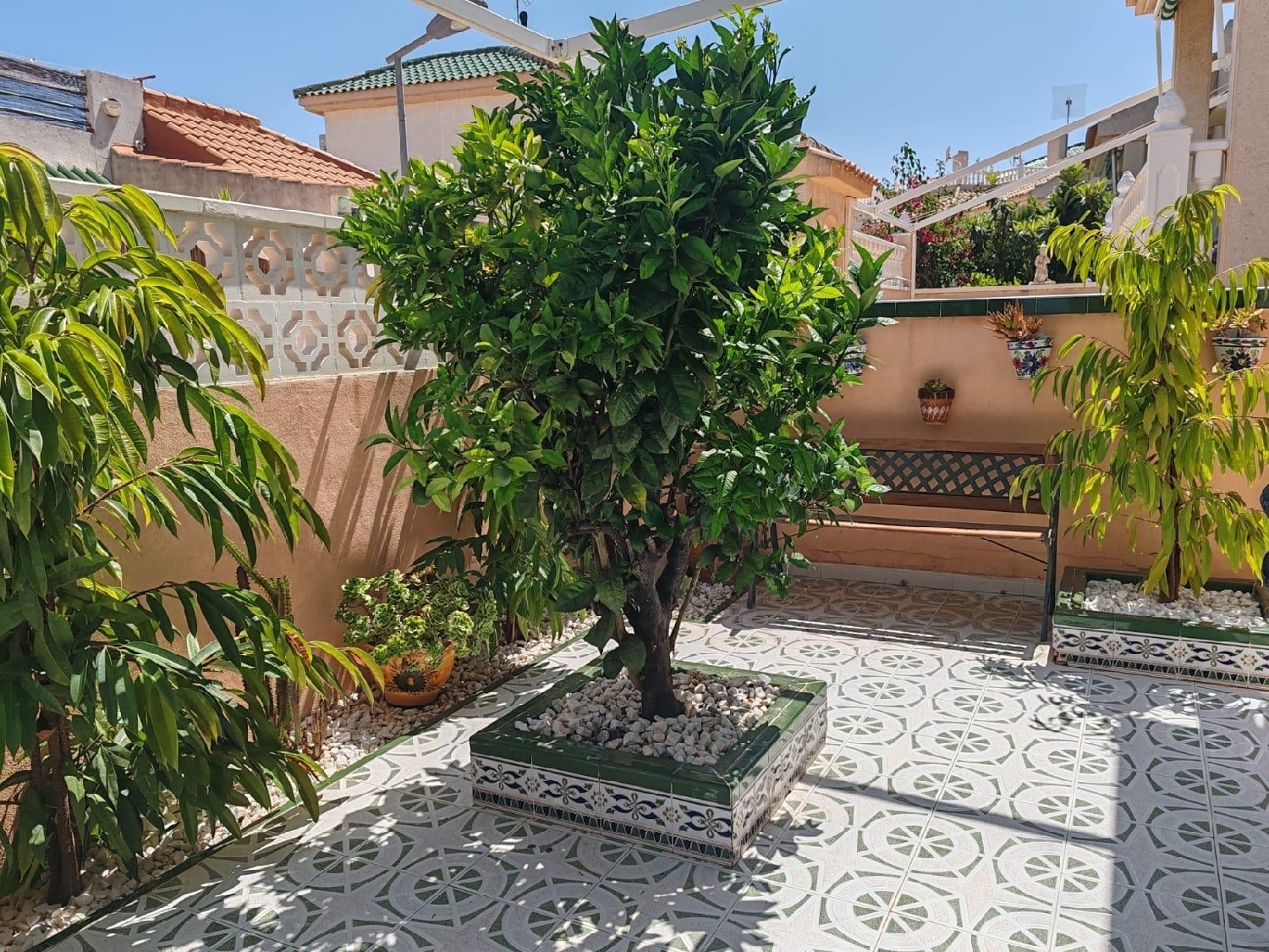  kaufen Haus Los Altos Baix Segura 8