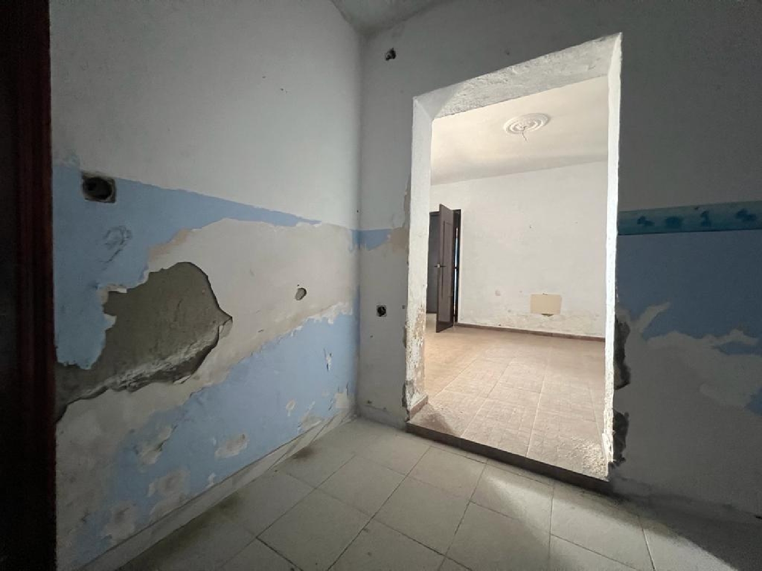  en venta casa Los Palacios Y Villafranca Bajo Guadalquivir 8