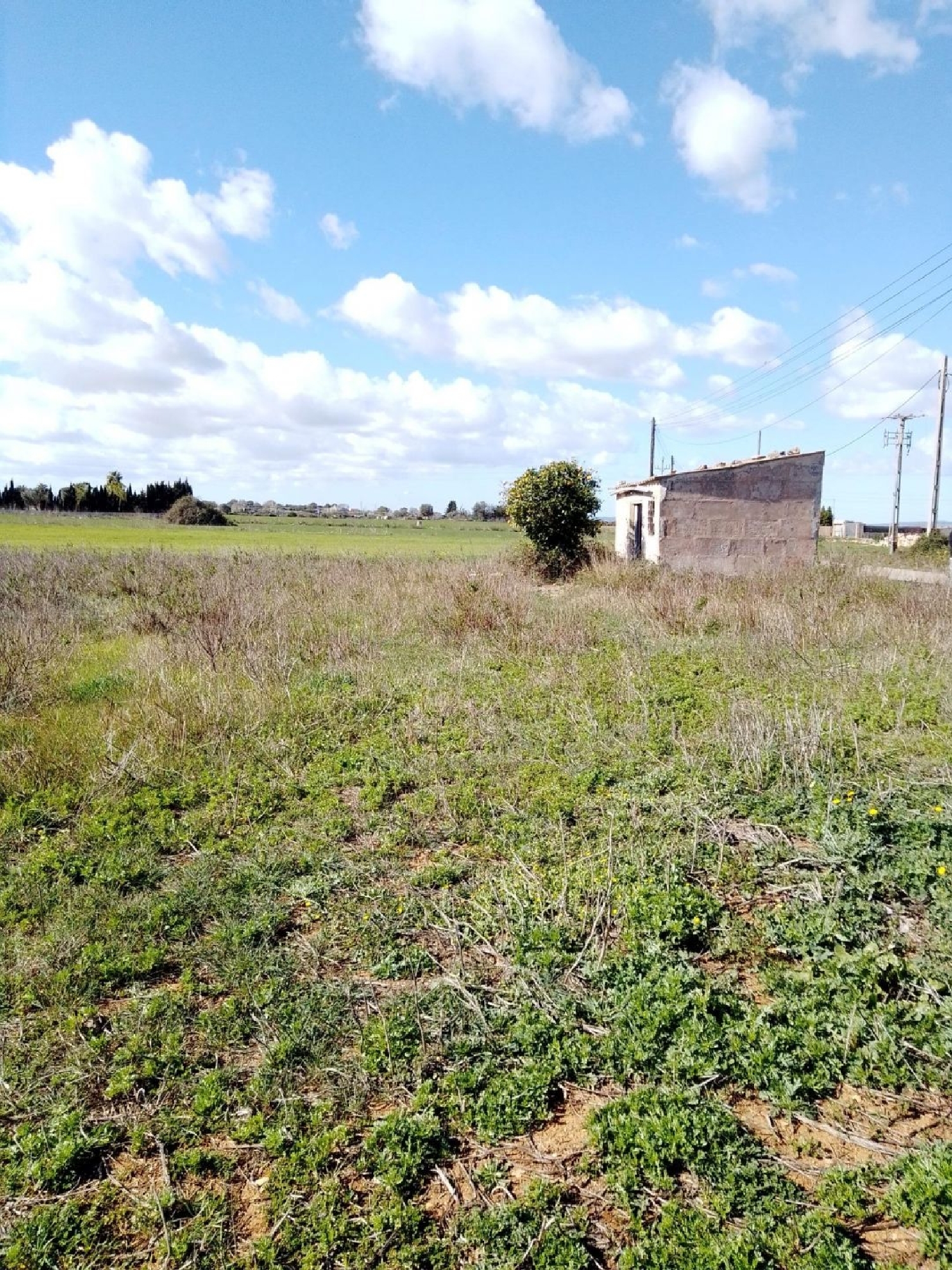  à vendre maison Manacor Llevant 1