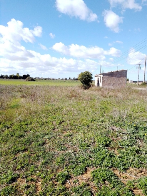 Manacor Llevant maison foto 6269507