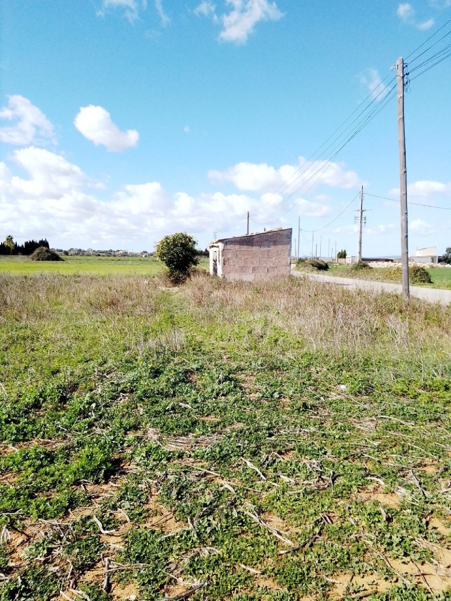  à vendre maison Manacor Llevant 5