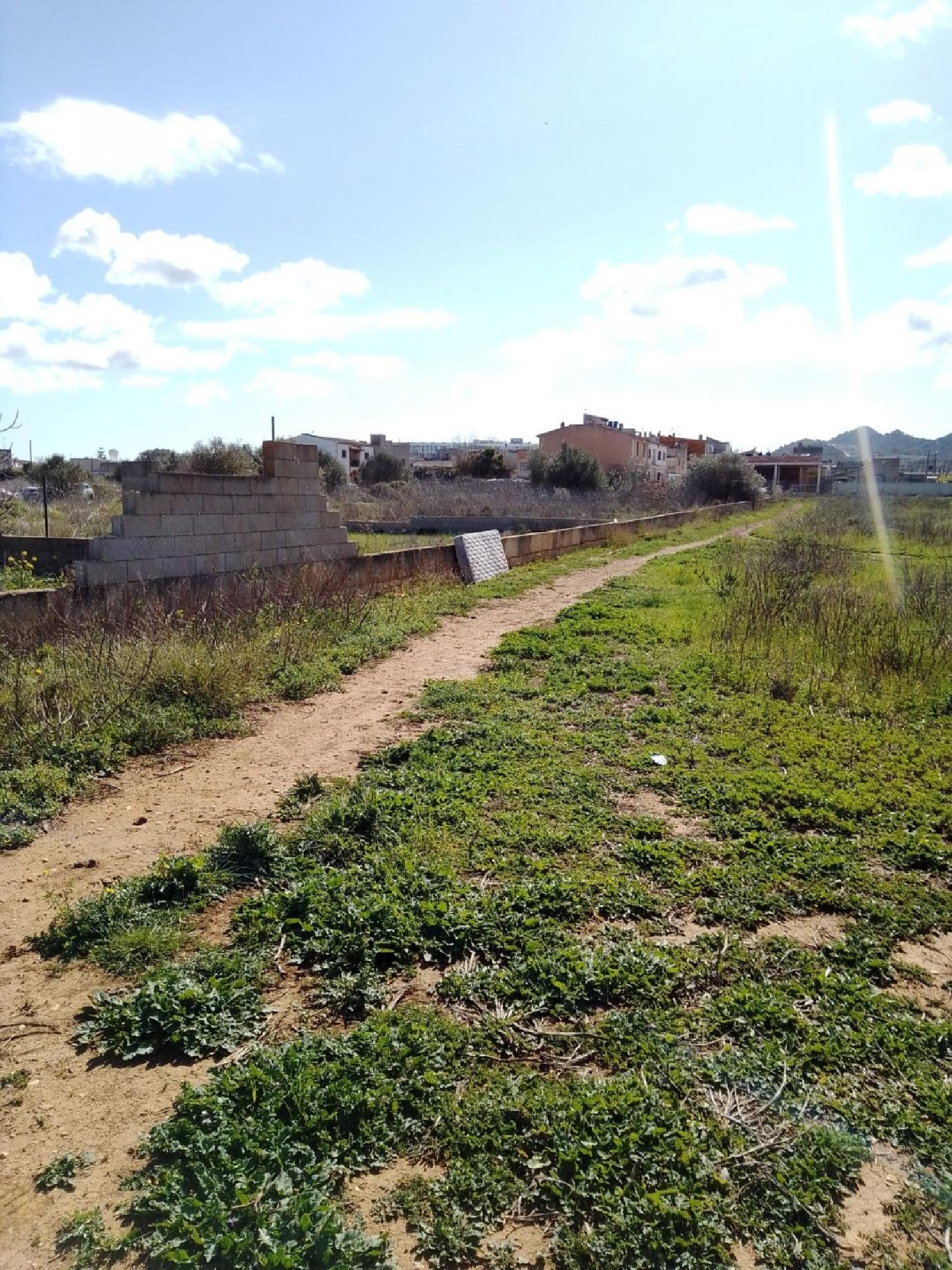  à vendre maison Manacor Llevant 4