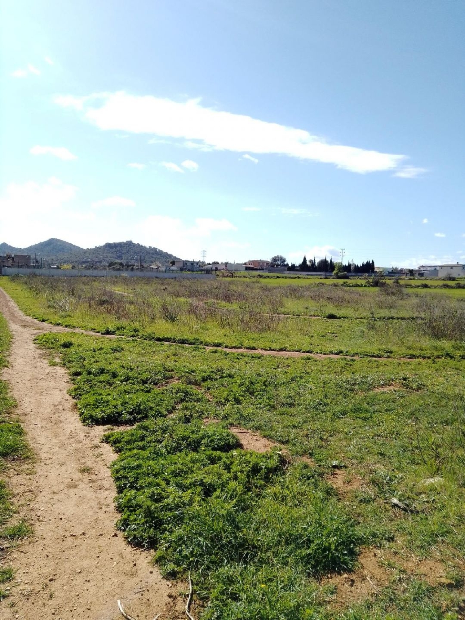à vendre maison Manacor Llevant 3