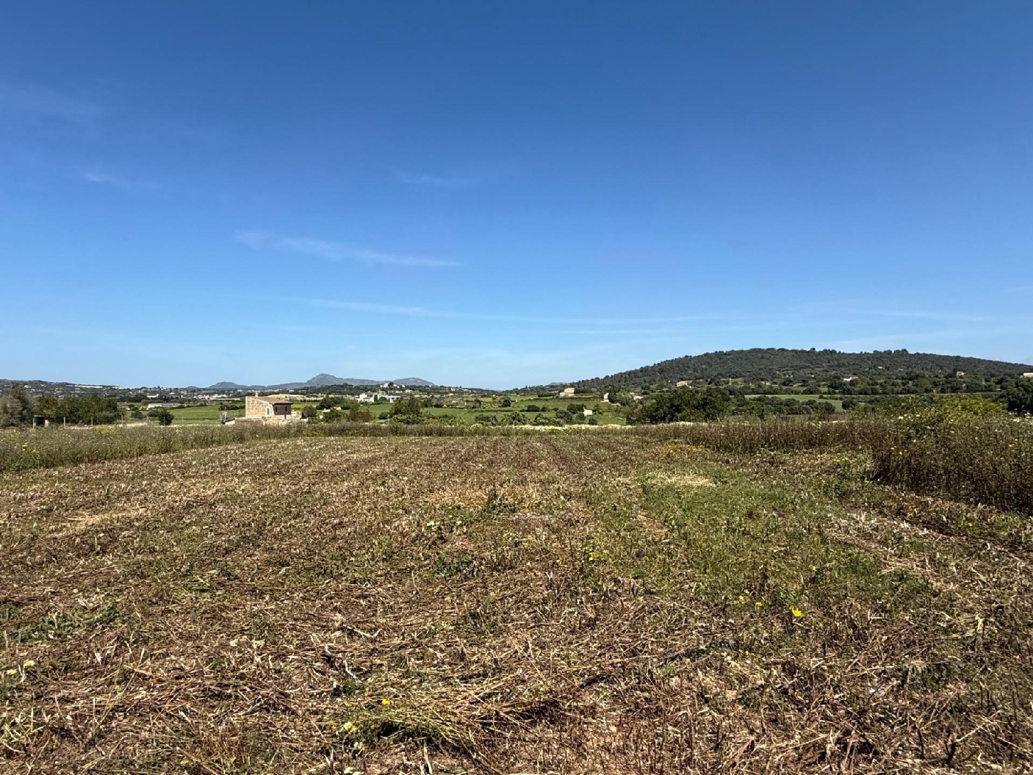  à vendre maison Manacor Llevant 4