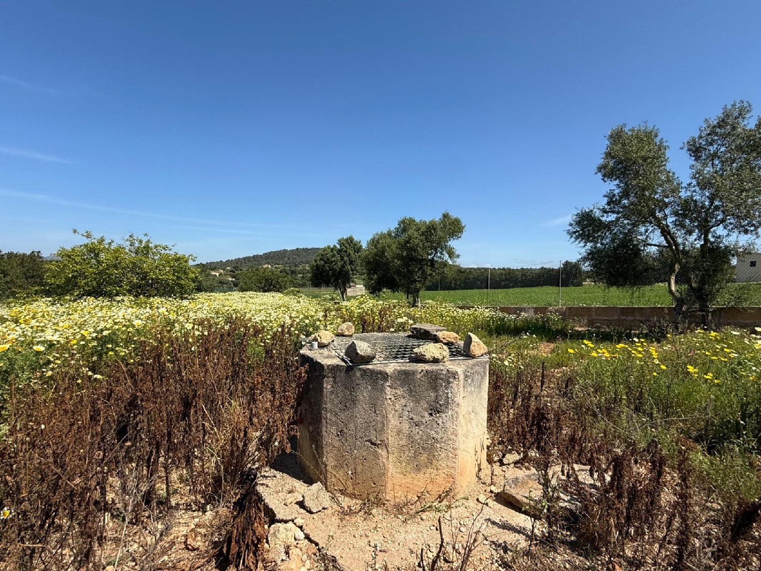  à vendre maison Manacor Llevant 5