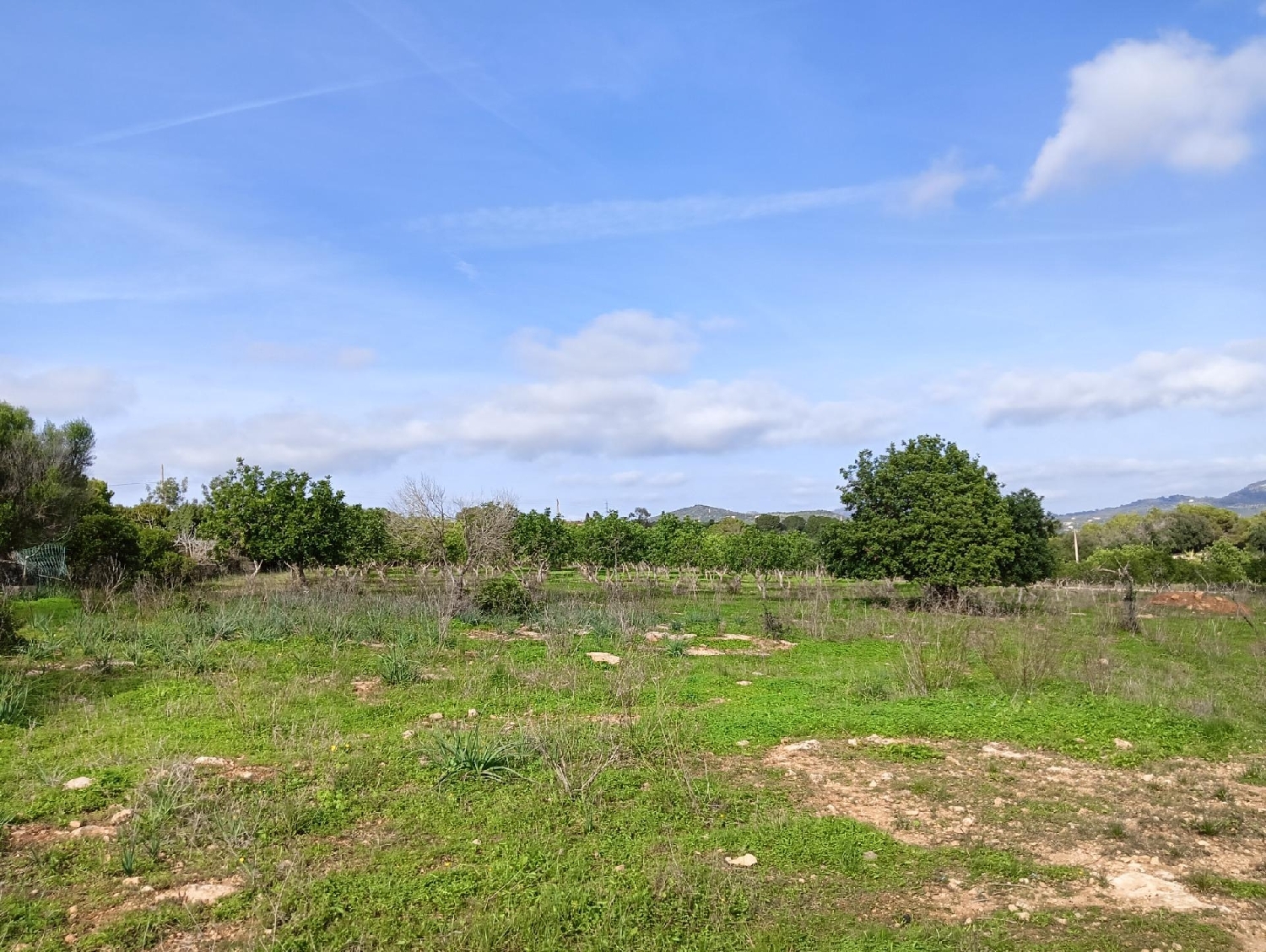  for sale house Manacor Llevant 3