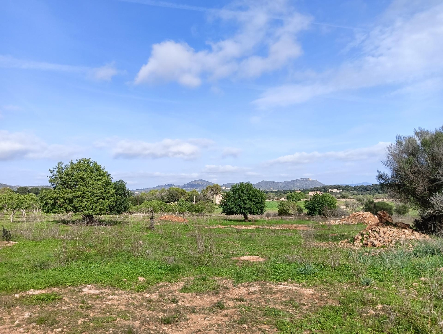  for sale house Manacor Llevant 5