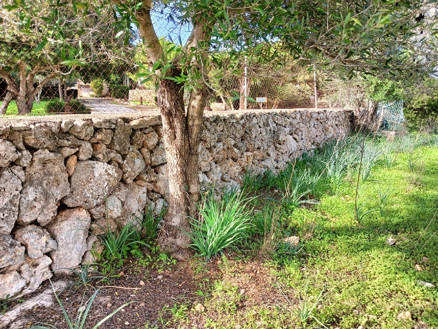  for sale house Manacor Llevant 7