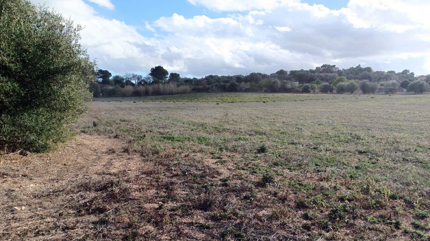  en venta casa Manacor Llevant 3