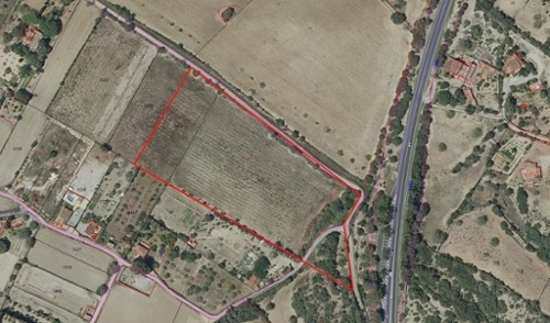 Manacor Llevant house foto 6282279