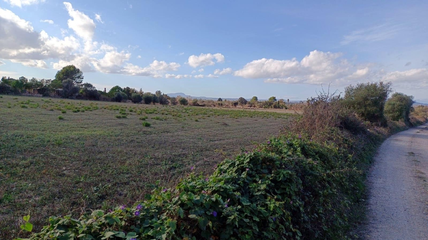  en venta casa Manacor Llevant 2