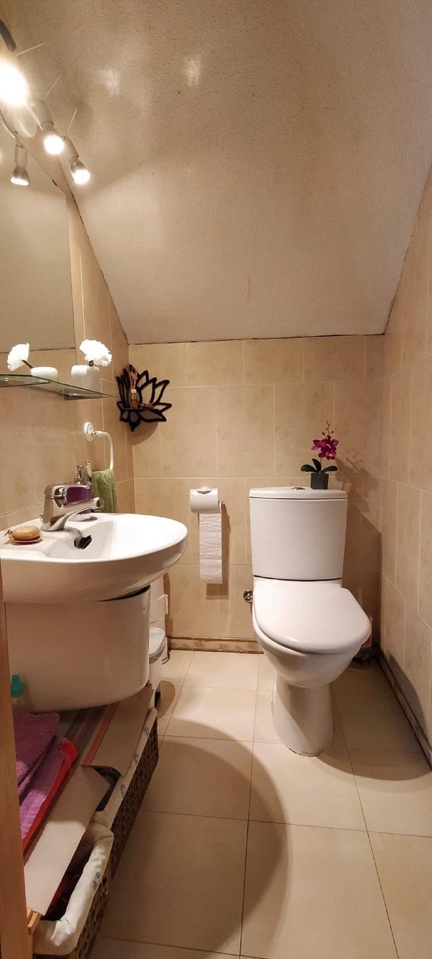  en venta casa Molina De Segura Vega Media Del Segura 13