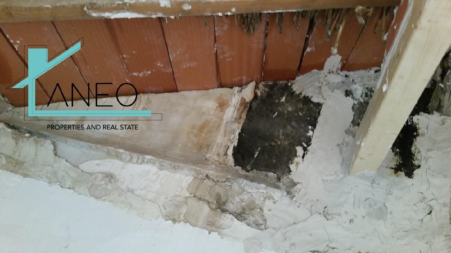  kaufen Haus Monóvar Vinalopó Mitjà 5