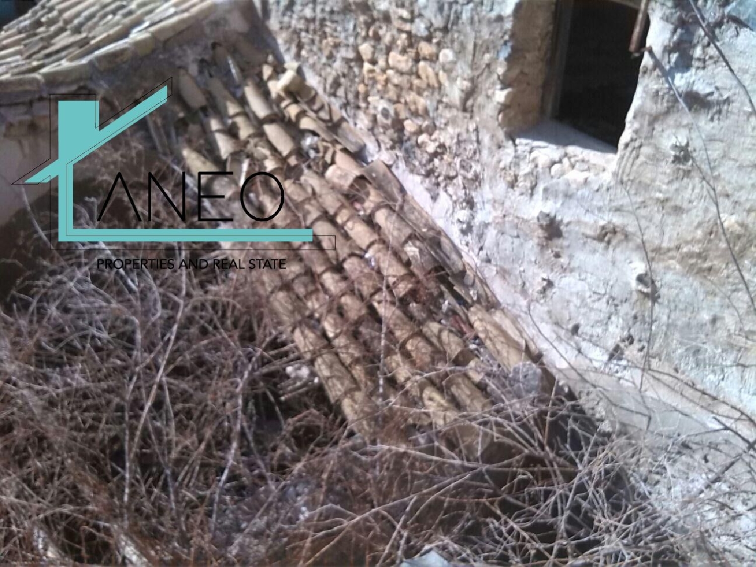  kaufen Haus Monóvar Vinalopó Mitjà 7