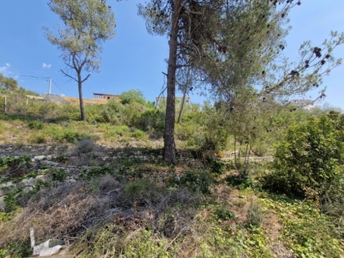 Olivella Garraf huis foto 6270336