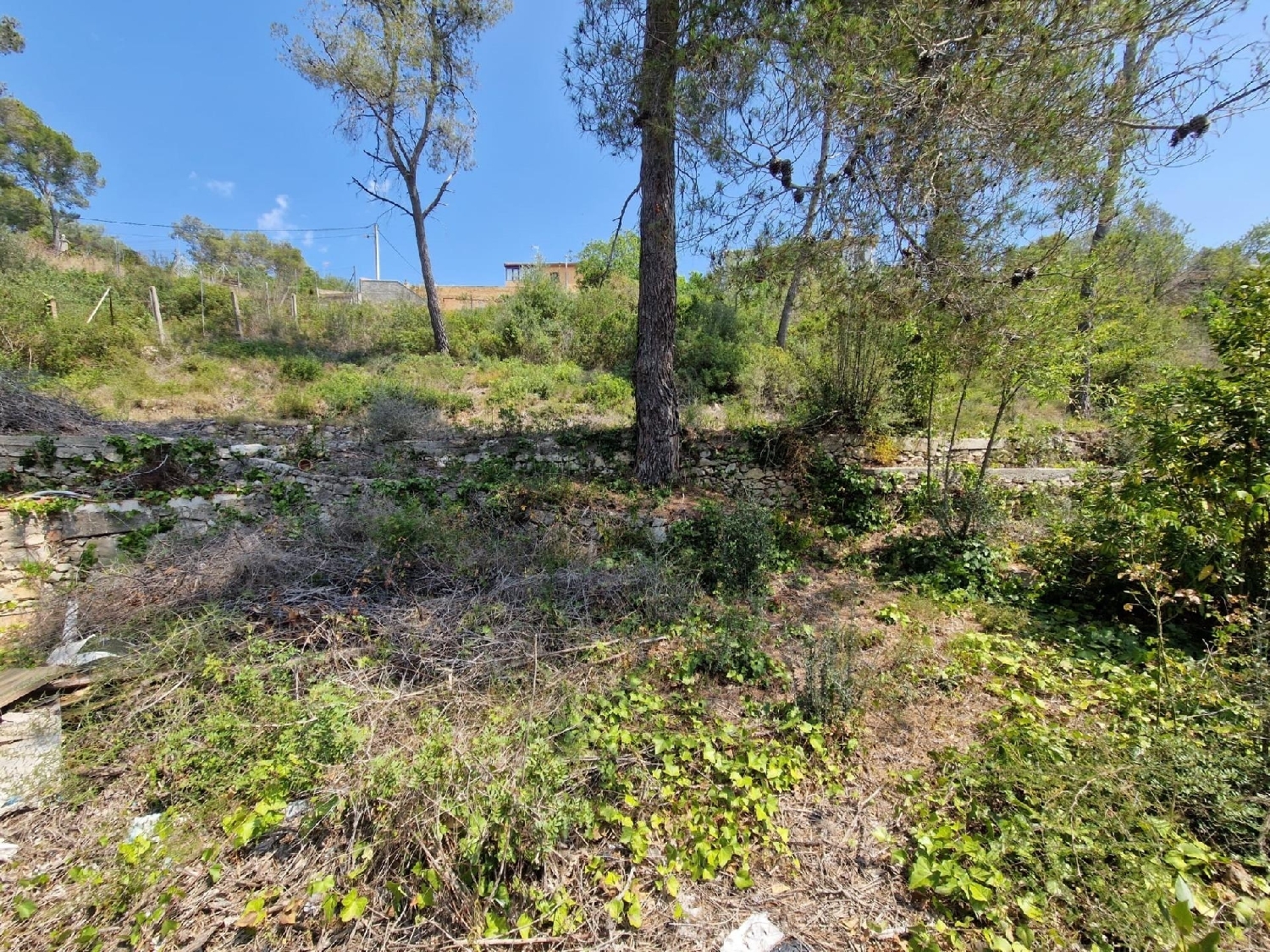  à vendre maison Olivella Garraf 6