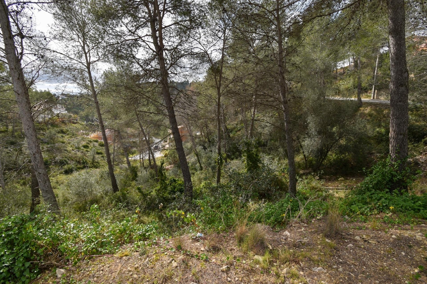 te koop huis Olivella Garraf 2