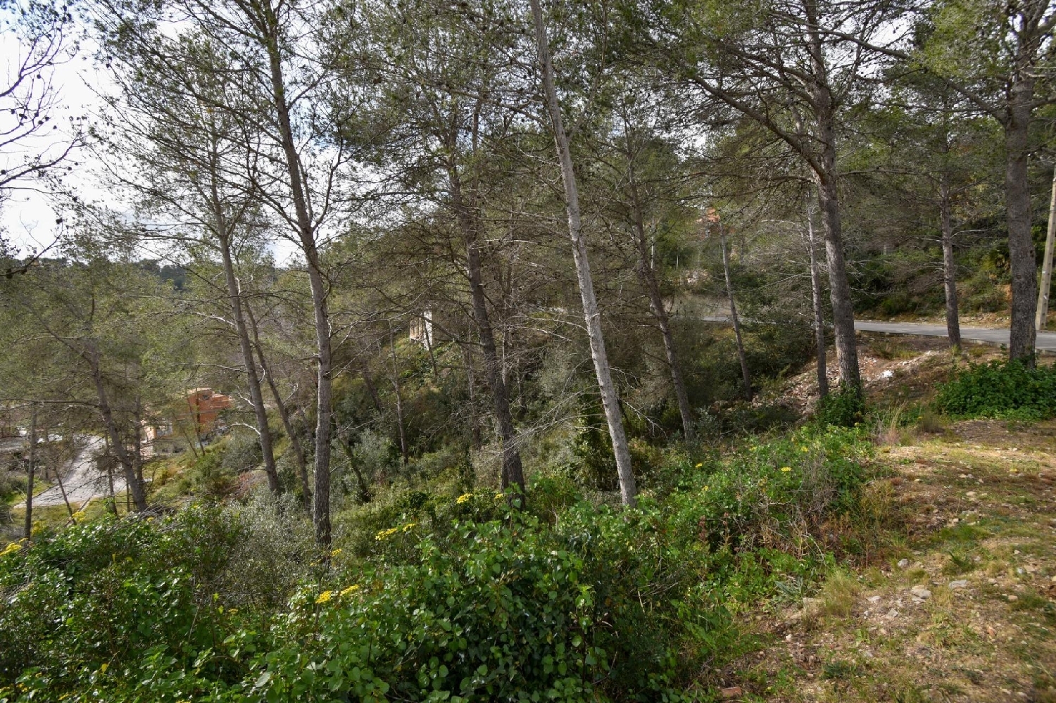  te koop huis Olivella Garraf 5