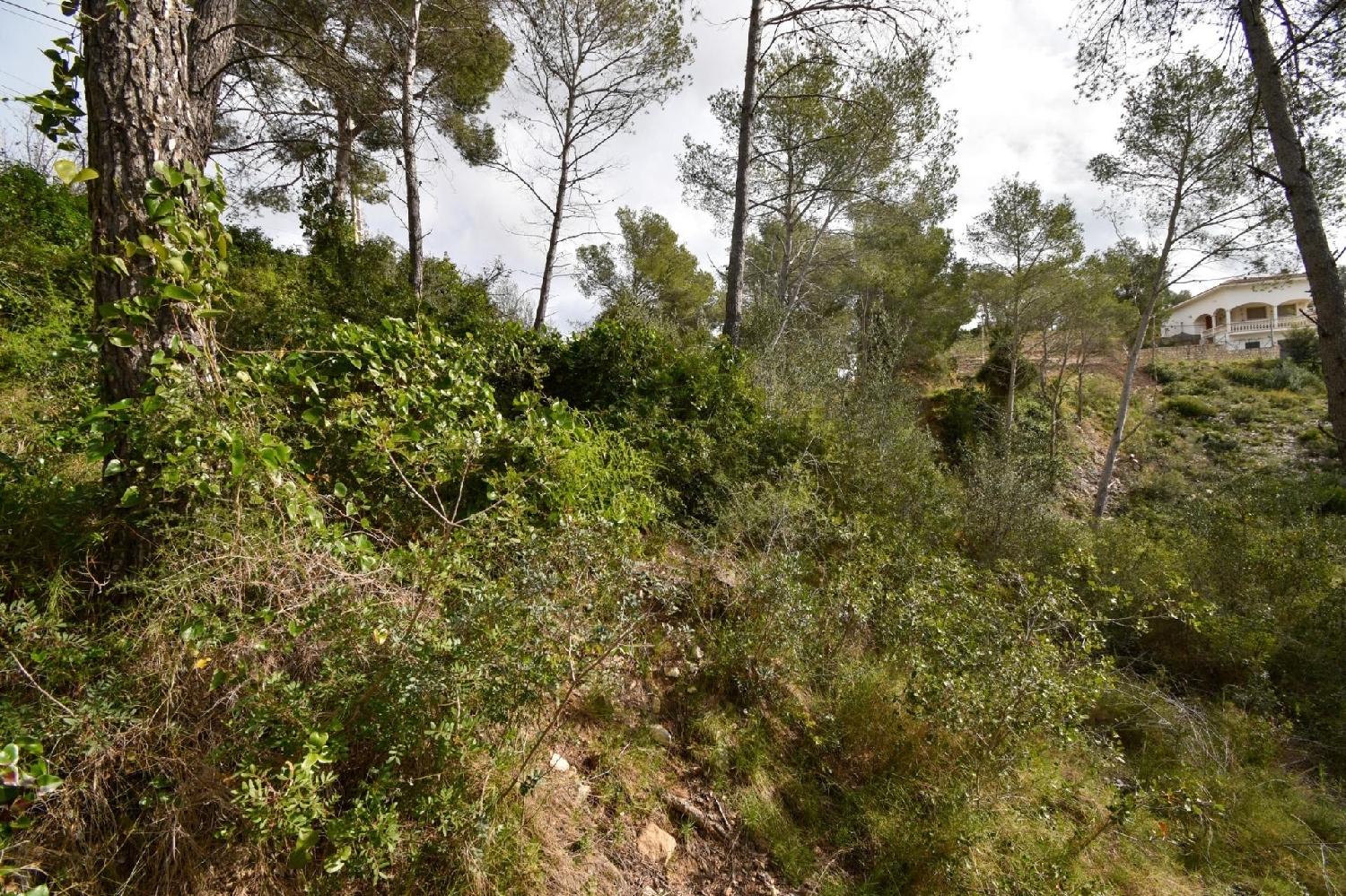  te koop huis Olivella Garraf 7