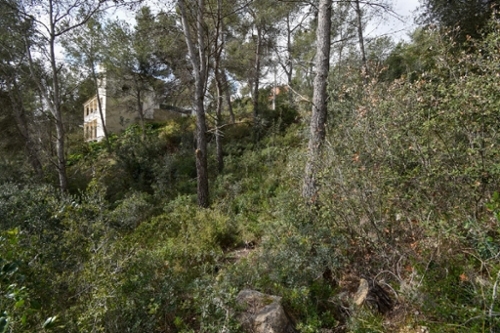 Olivella Garraf huis foto 6270343