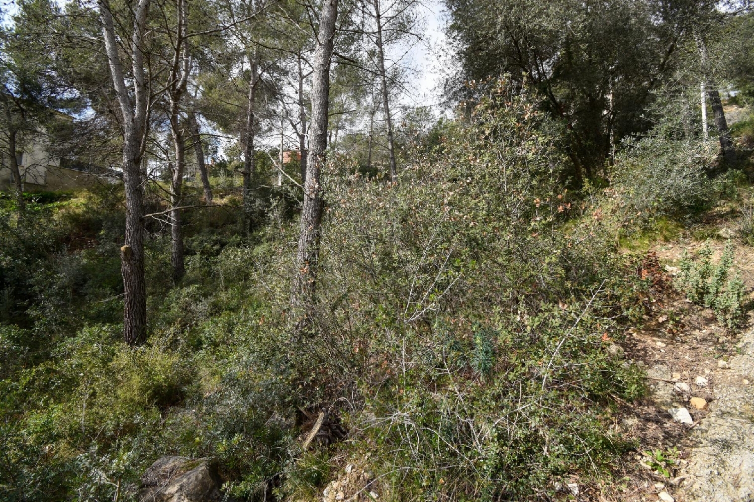  à vendre maison Olivella Garraf 8