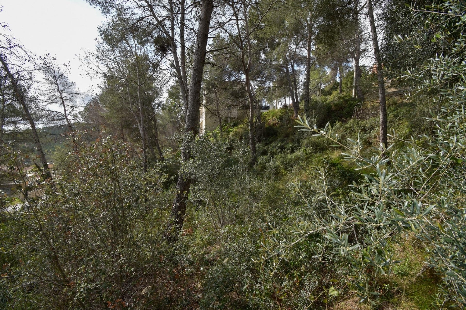  à vendre maison Olivella Garraf 5