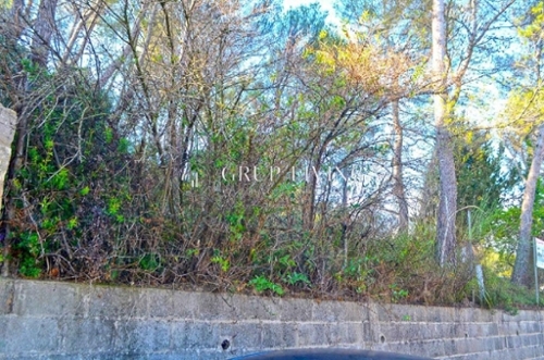 Olivella Garraf Haus Bild 6270362