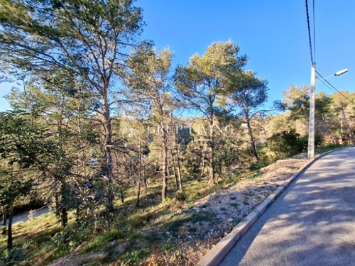 Olivella Garraf Haus Bild 6270389
