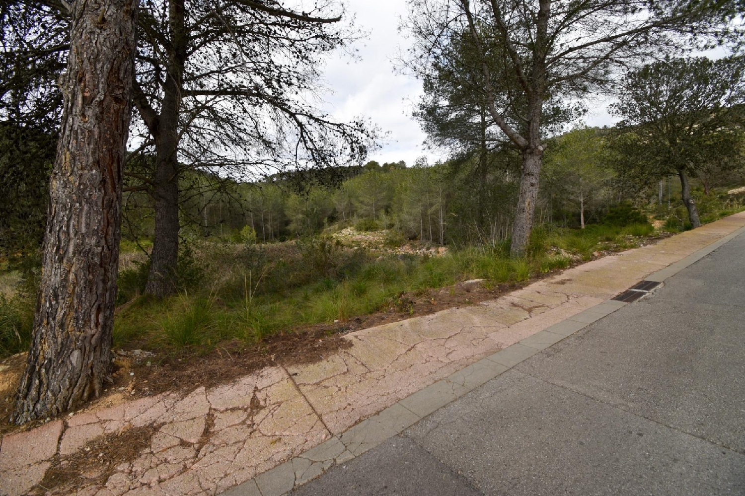  kaufen Haus Olivella Garraf 5