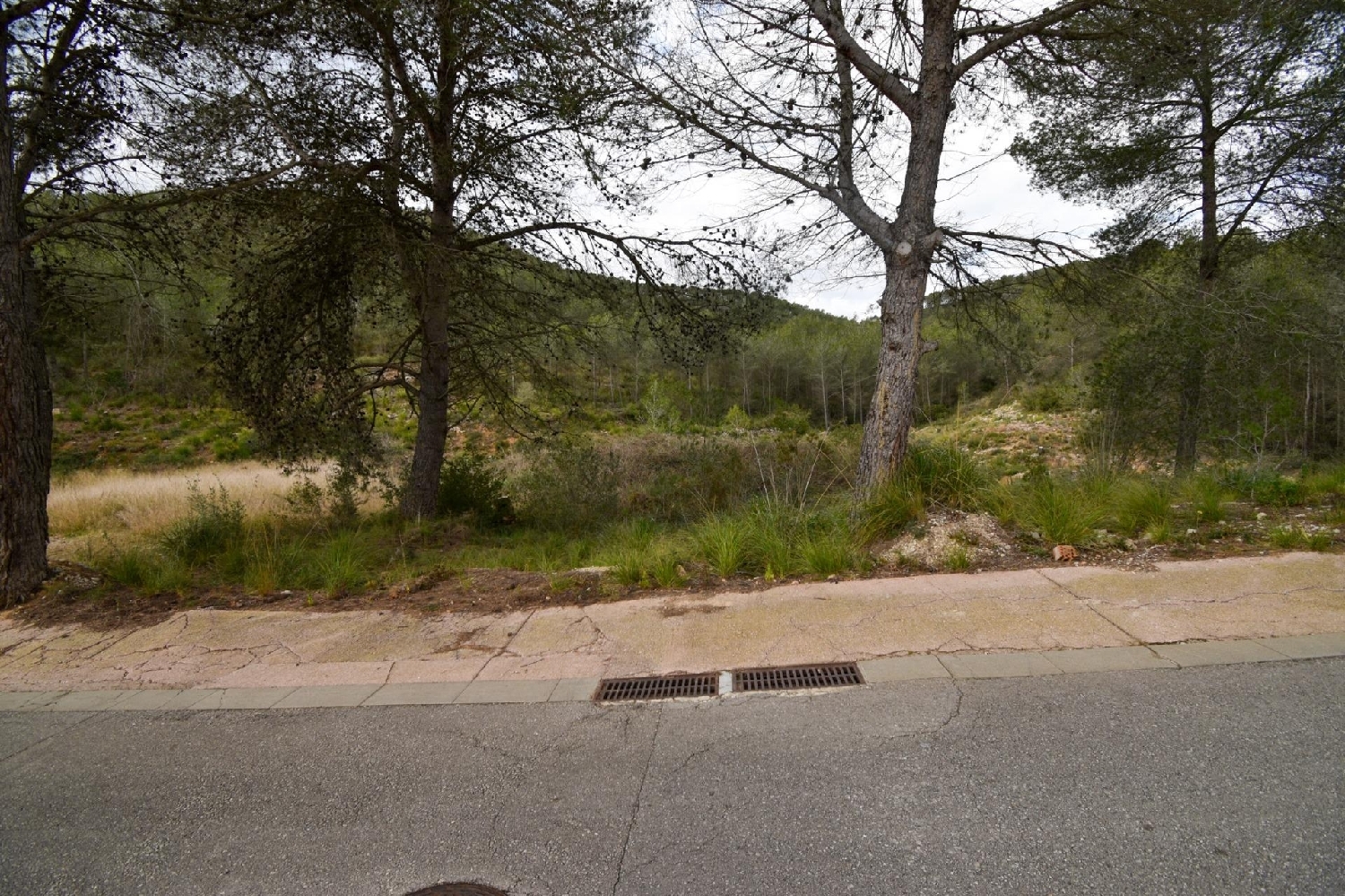  kaufen Haus Olivella Garraf 6