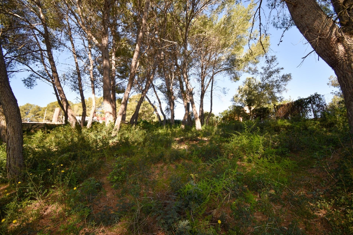  à vendre maison Olivella Garraf 4