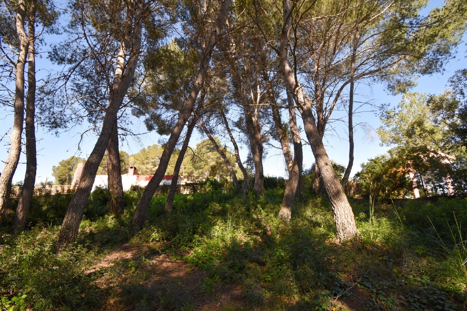  à vendre maison Olivella Garraf 10