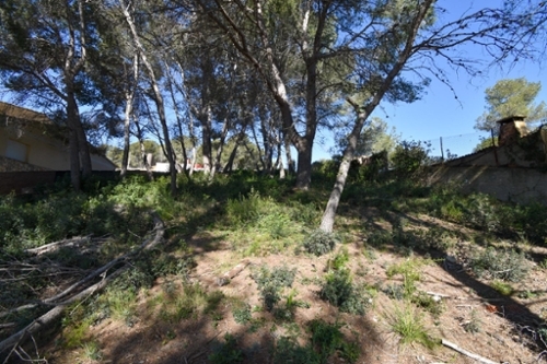 Olivella Garraf maison foto 6270477