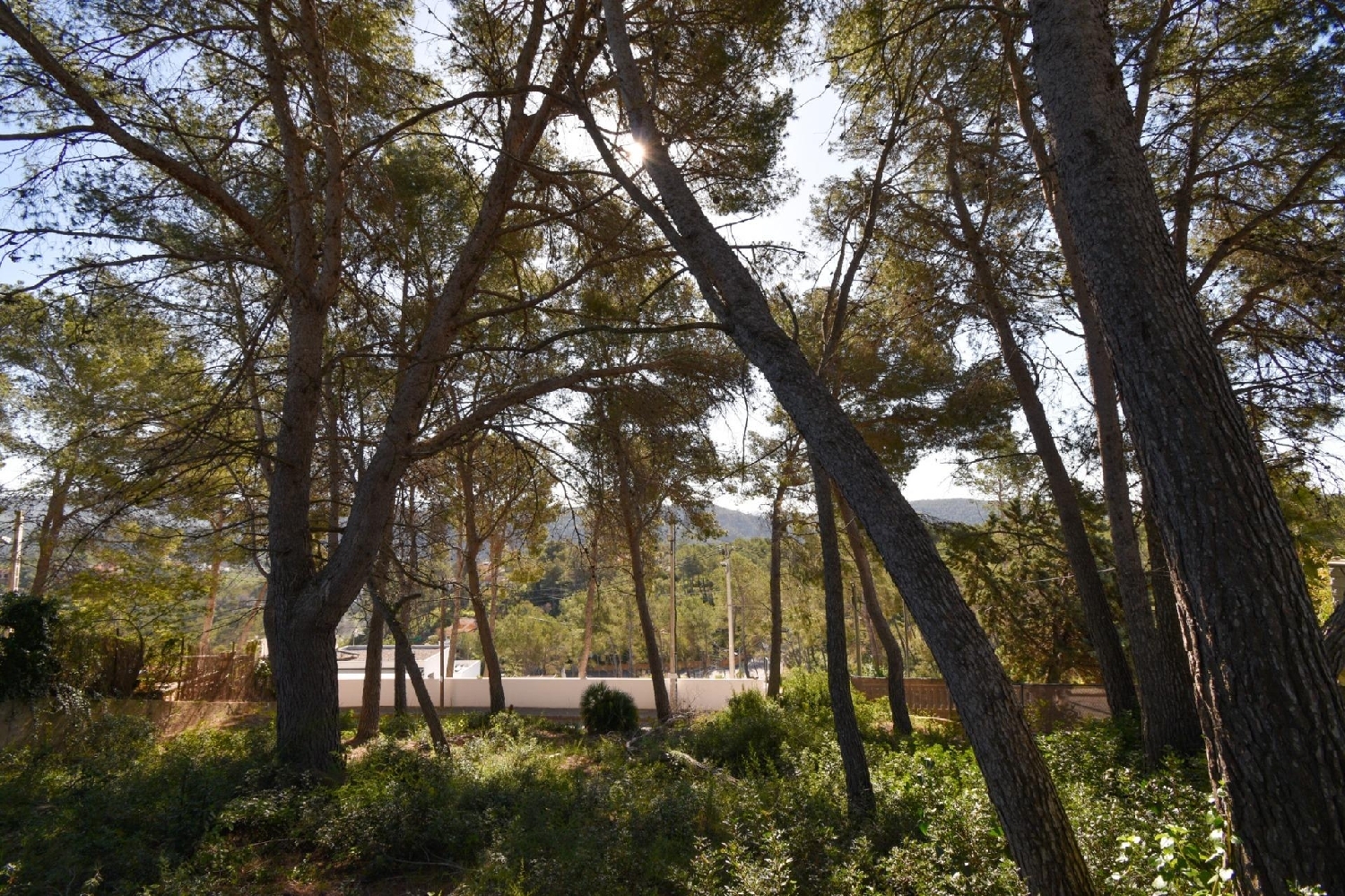  à vendre maison Olivella Garraf 5
