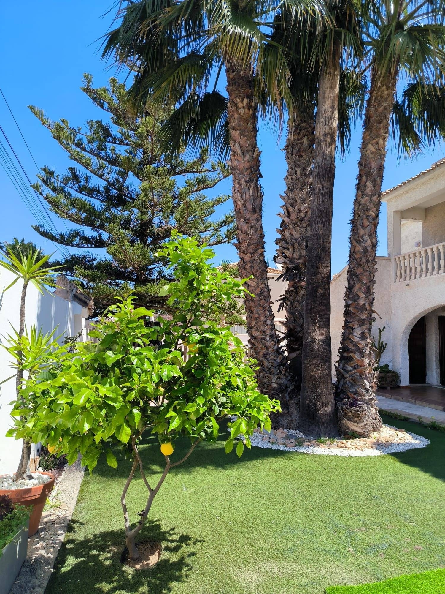  for sale house Orihuela Costa Baix Segura 6