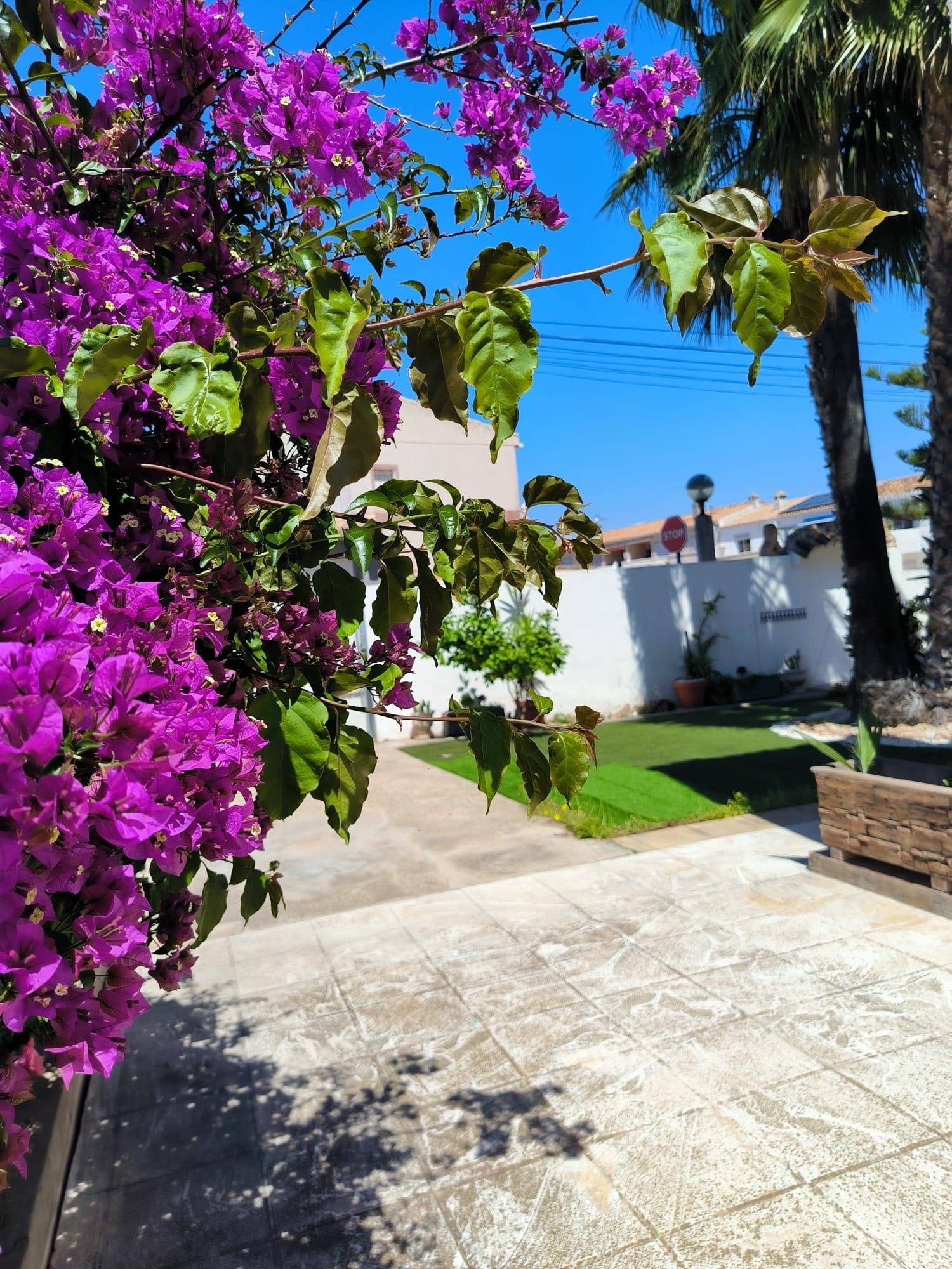  for sale house Orihuela Costa Baix Segura 8