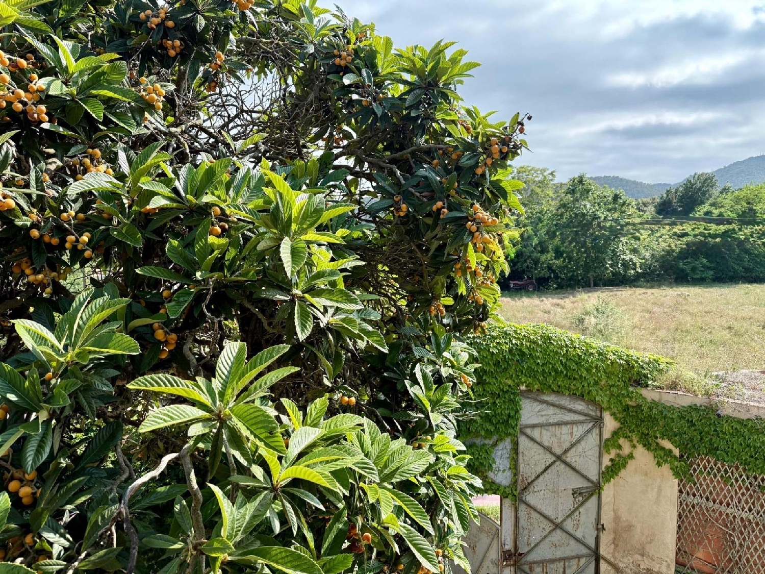  till salu hus Pedralta Baix Empordà 8