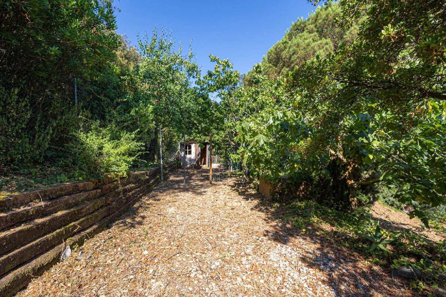 kaufen Haus Pineda De Mar Maresme 2