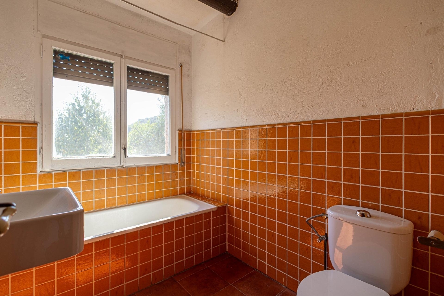  kaufen Haus Pineda De Mar Maresme 8