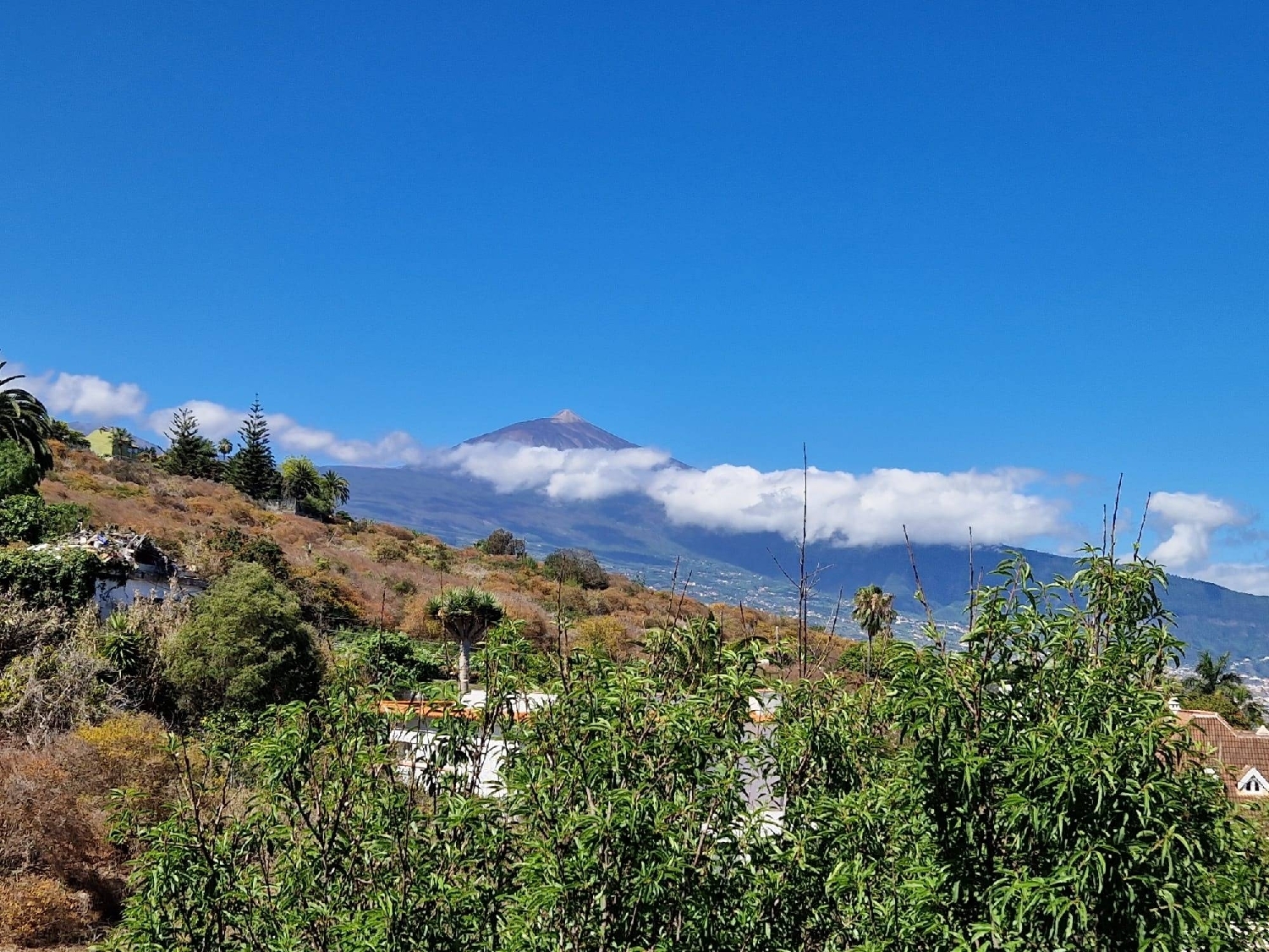  for sale house Pino Alto-Santa Ursula Zona Norte 1