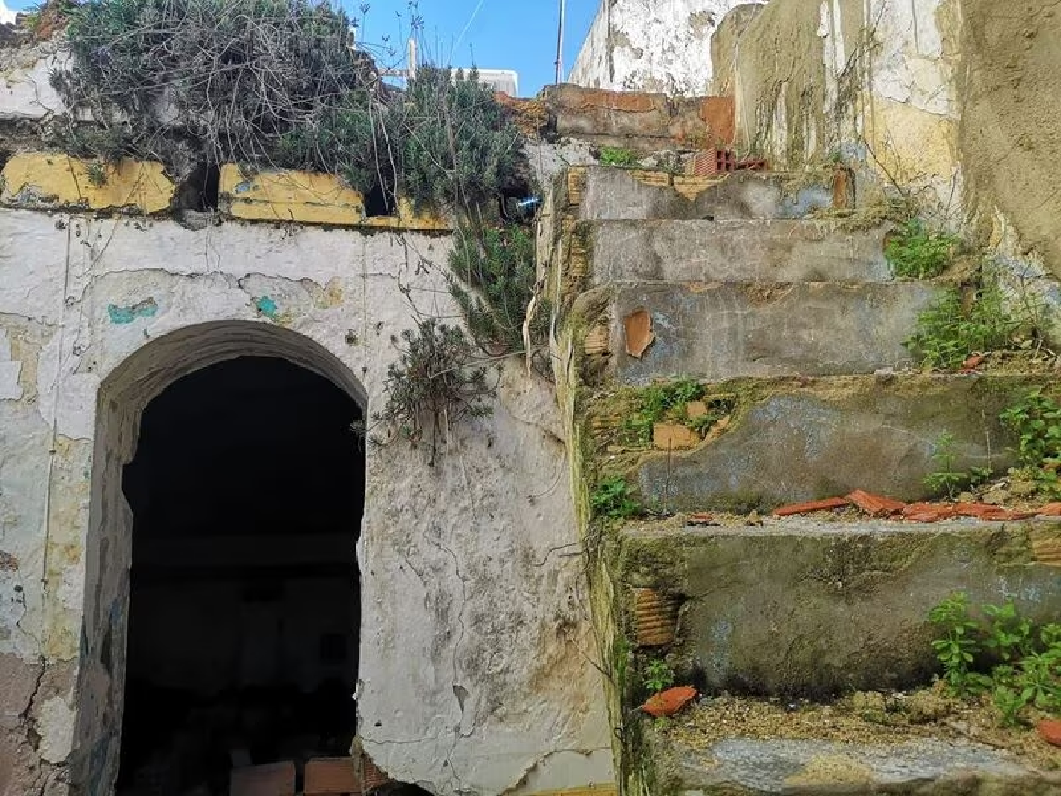 kaufen Haus Puerto Serrano Sierra De Cádiz 3