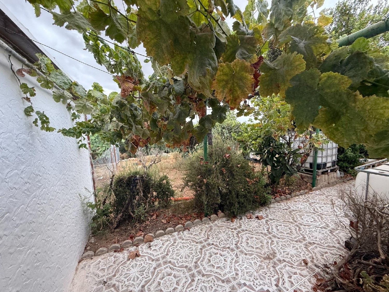  kaufen Haus Rusticana Bajo Guadalentín 7