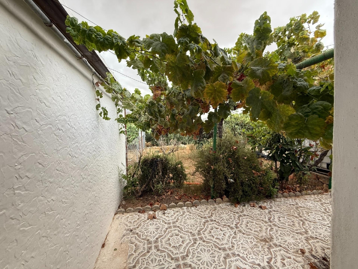  kaufen Haus Rusticana Bajo Guadalentín 5